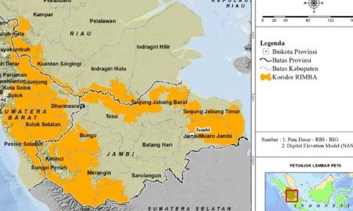 日本马油和韩国马油哪个好-韩国马油和日本马油的区别网 - 韩国马油的功效与作用,韩国马油和日本马油的区别图片
